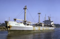 Thumbnail Image for Pitria