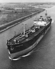 Thumbnail Image for Panagathos