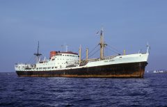 Thumbnail Image for Primo Arabia oncontextmenu=