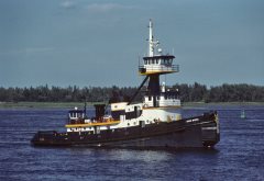 Thumbnail Image for Doug McKeil oncontextmenu=