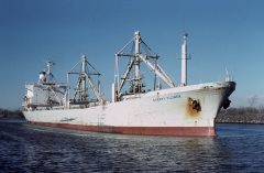 Thumbnail Image for Cherry Flower