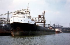 Thumbnail Image for Buffalo oncontextmenu=