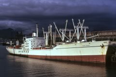 Thumbnail Image for M.M. Dant