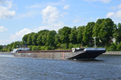 Thumbnail Image for Castor oncontextmenu=