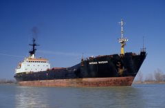 Thumbnail Image for Kapitonas Sevcenko