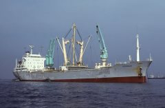 Thumbnail Image for Heroinae