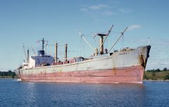 Thumbnail Image for Amadeo