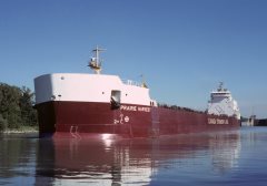 Thumbnail Image for Prairie Harvest