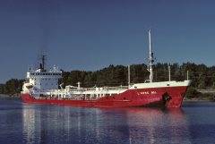 Thumbnail Image for L'orme No. 1