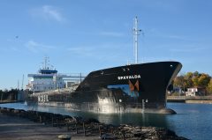 Thumbnail Image for Spavalda