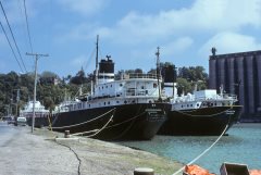 Thumbnail Image for Oakglen oncontextmenu=