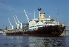 Thumbnail Image for Ocean Seagull oncontextmenu=