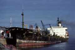 Thumbnail Image for Product Star