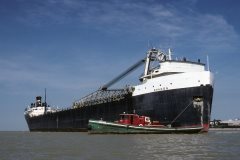 Thumbnail Image for Sharon oncontextmenu=