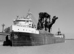 Thumbnail Image for Joseph S Young