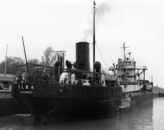 Thumbnail Image for Elba