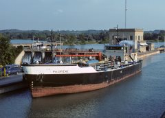 Thumbnail Image for Pacifica I oncontextmenu=