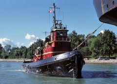 Thumbnail Image for Tusker oncontextmenu=