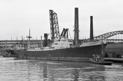 Thumbnail Image for Swainby oncontextmenu=