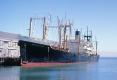 Thumbnail Image for Hawaiian Rancher oncontextmenu=