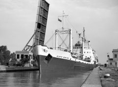 Thumbnail Image for Gladys Bowater