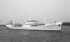 Thumbnail Image for Balla Brovig oncontextmenu=