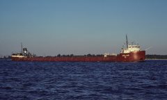 Thumbnail Image for Sewell Avery