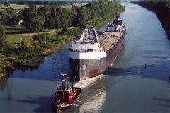 Thumbnail Image for Sharon