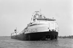 Thumbnail Image for H Lee White