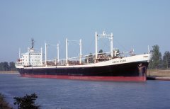 Thumbnail Image for Aegis Kudu