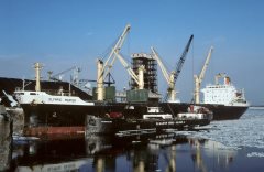 Thumbnail Image for Olympic Mentor