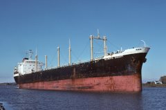 Thumbnail Image for Olympic Dignity