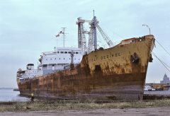 Thumbnail Image for Stolt Desiree