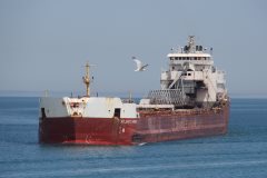 Thumbnail Image for Atlantic Huron