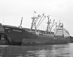 Thumbnail Image for Seadrake