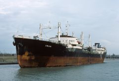 Thumbnail Image for Swan oncontextmenu=