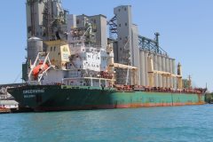 Thumbnail Image for Greenwing