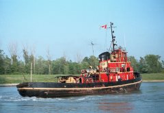 Thumbnail Image for Tusker