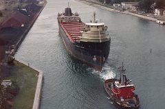 Thumbnail Image for Thomas F. Patton