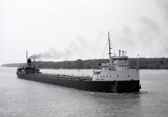 Thumbnail Image for Harry Yates