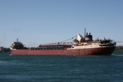 Thumbnail Image for American Fortitude