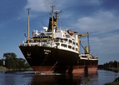 Thumbnail Image for Vanil