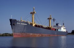 Thumbnail Image for Hille Oldendorff