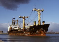 Thumbnail Image for Fastov