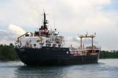 Thumbnail Image for Algonova