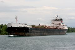 Thumbnail Image for Adam E Cornelius