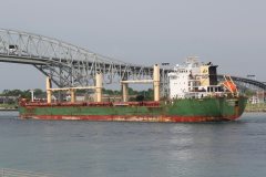 Thumbnail Image for Labrador