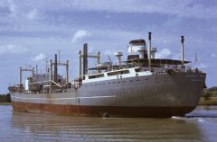 Thumbnail Image for Atlantic Eagle