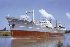 Thumbnail Image for Atlantic Eagle