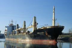 Thumbnail Image for Celia Dan